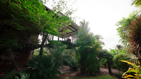 Large-Elevated-Property-House-Pullback-From-Patio-to-Backyard-Between-Tropical-Leaves-and-Foliage-With-Lens-Flare