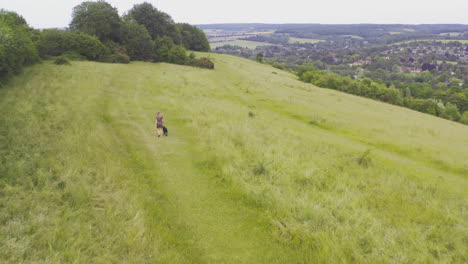 tomada aérea de un avión no tripulado de una mujer paseando al perro en una colina en el campo de verano inglés del reino unido streatley berkshire