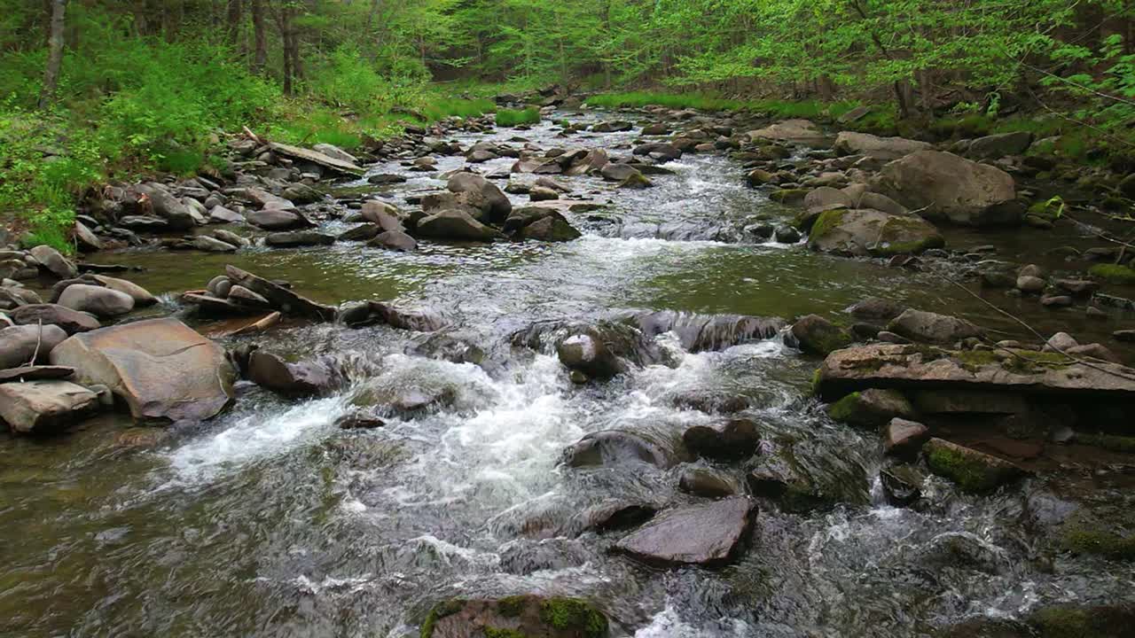 Smooth low slow-motion drone footage of a beautiful stream in a lush, green, magical forest