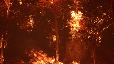 large flames of forest fire at night