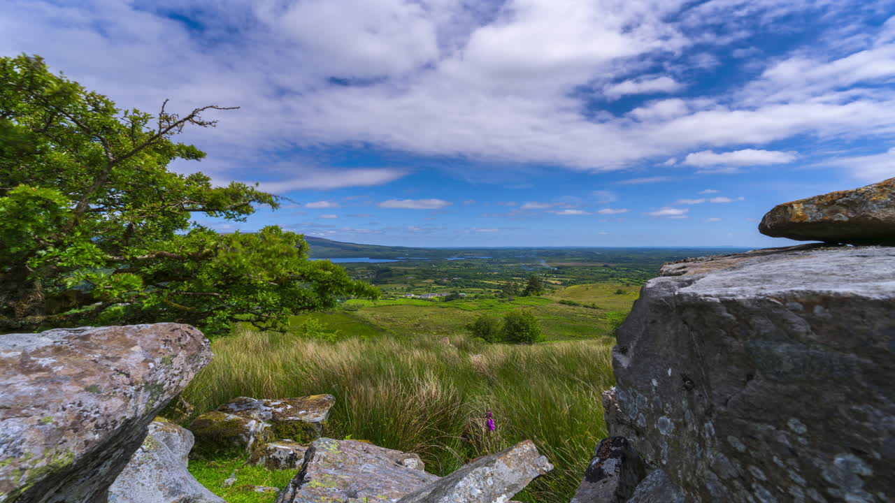 Time lapse of rural landscape with a single tree along rocky grassland and lake in the distance on a spring sunny cloudy day in Arigna mountains in county Leitrim in Ireland