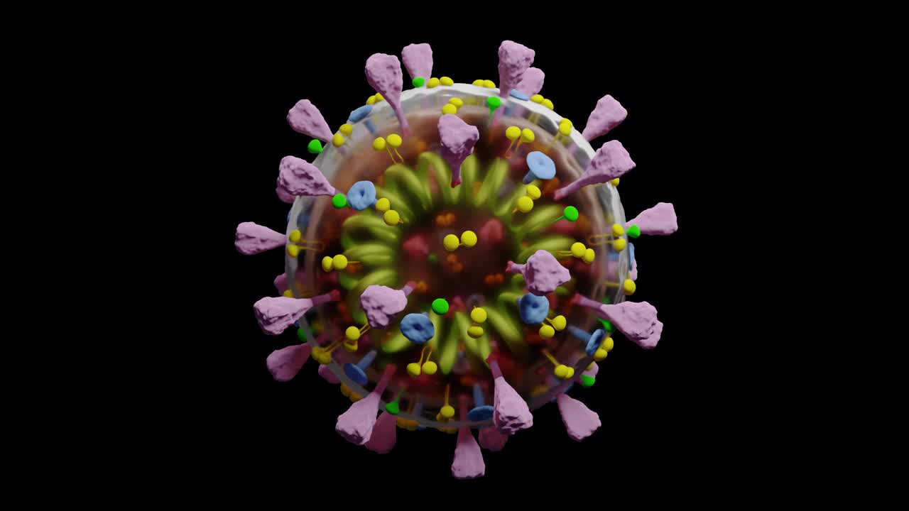 Loop and alpha - covid-19 coronavirus global pandemic disease