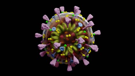 loop and alpha - covid-19 coronavirus global pandemic disease