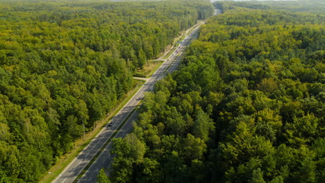 carretera con tráfico moderado que cruza un bosque denso
