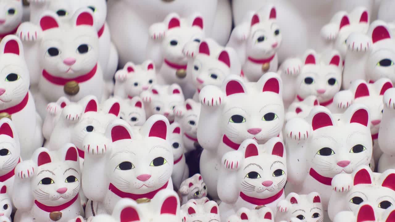 gotokuji tokyo의 귀여운 흰색 마네키 네코 고양이, 오른쪽 샷 추적