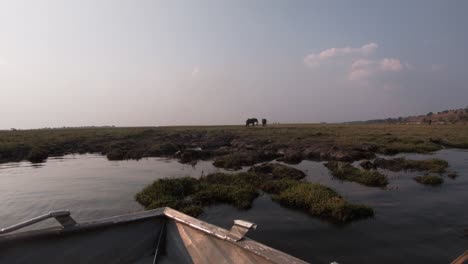 Vídeo-Cautivador:-Dos-Elefantes-En-Su-Hábitat-Natural-En-África,-Grabado-Desde-Un-Barco-Estacionario,-Desplazándose-Suavemente-A-Lo-Largo-Del-Río,-Ofreciendo-Una-Perspectiva-única-De-Estas-Majestuosas-Criaturas.