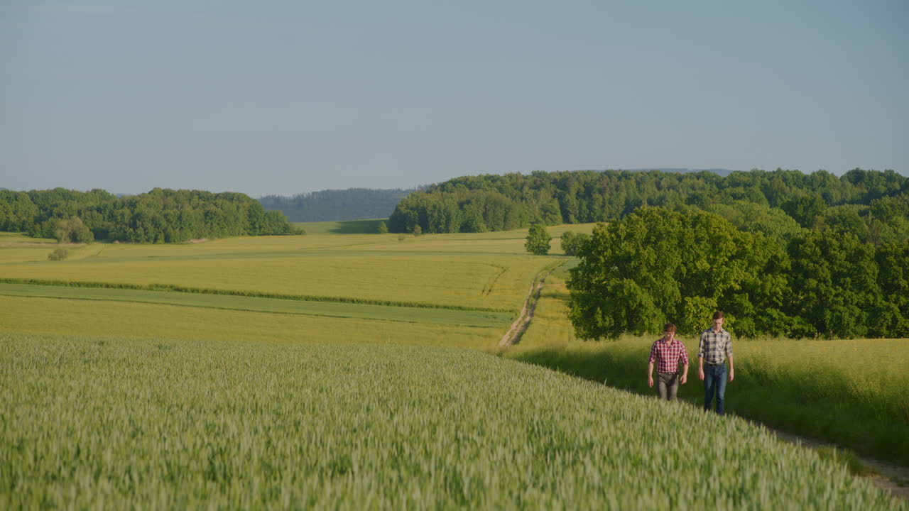 Deux agriculteurs parlent et marchent parmi les champs agricoles.