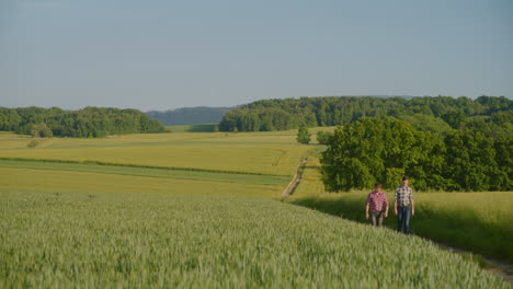 two farmers talk and walk among agricultural fields