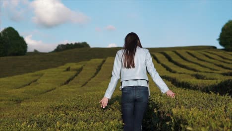 woman walking through a tea plantation