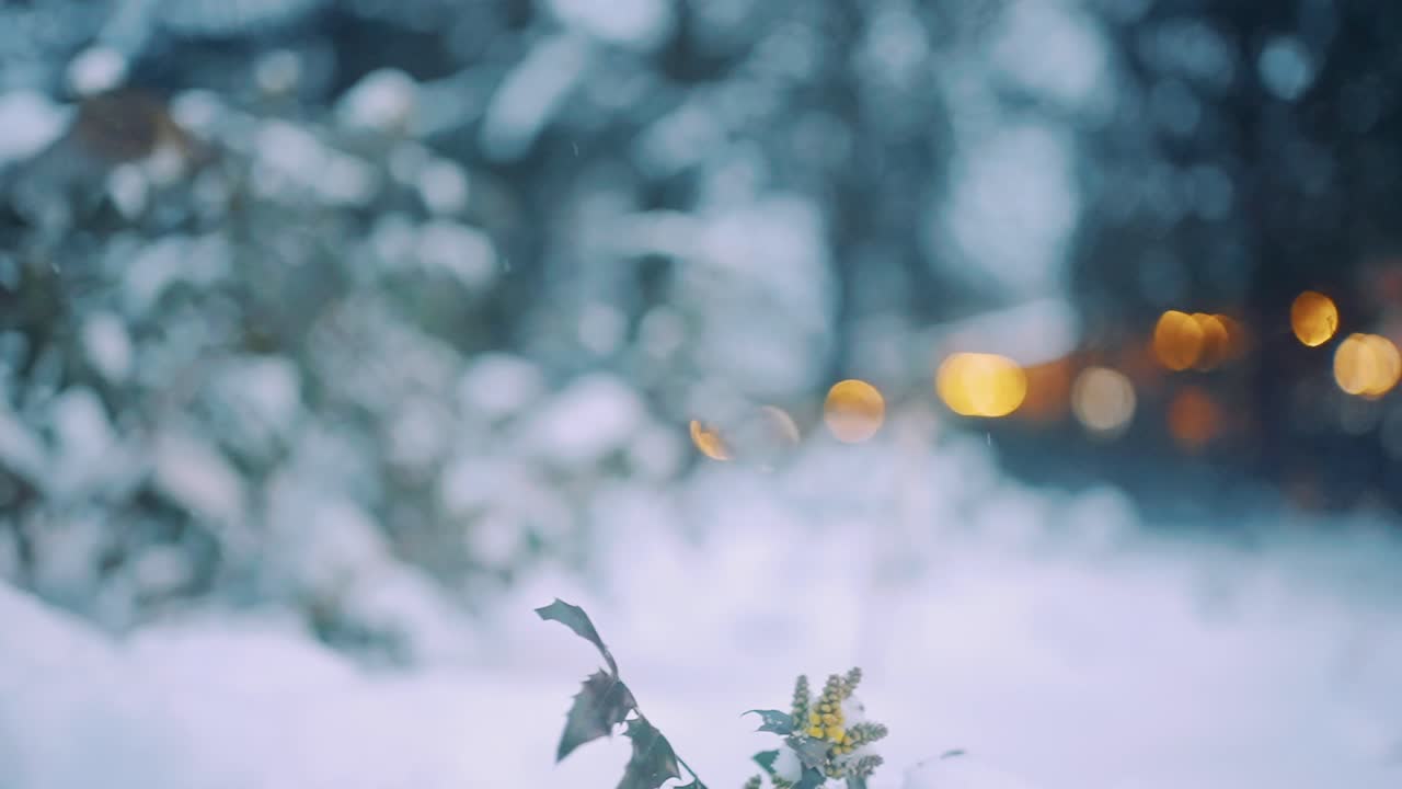 백그라운드에서 초점 표시등이 없는 농어촌에서 비행하는 유럽 로빈