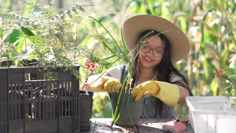 Little-smiling-girl-wearing-yellow-gloves-planting-a-chive-plant-in-a-pot