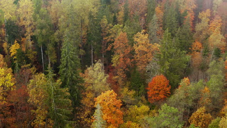 passing over a colorful autumn forest