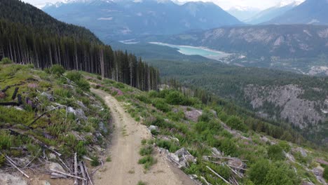 Burned-Logs-and-Deforestation-with-Path-Revealing-Hydroelectric-Dam-Generating-Clean-Energy-Panning-Up-using-Aerial-Drone-in-Canada-BC-4K