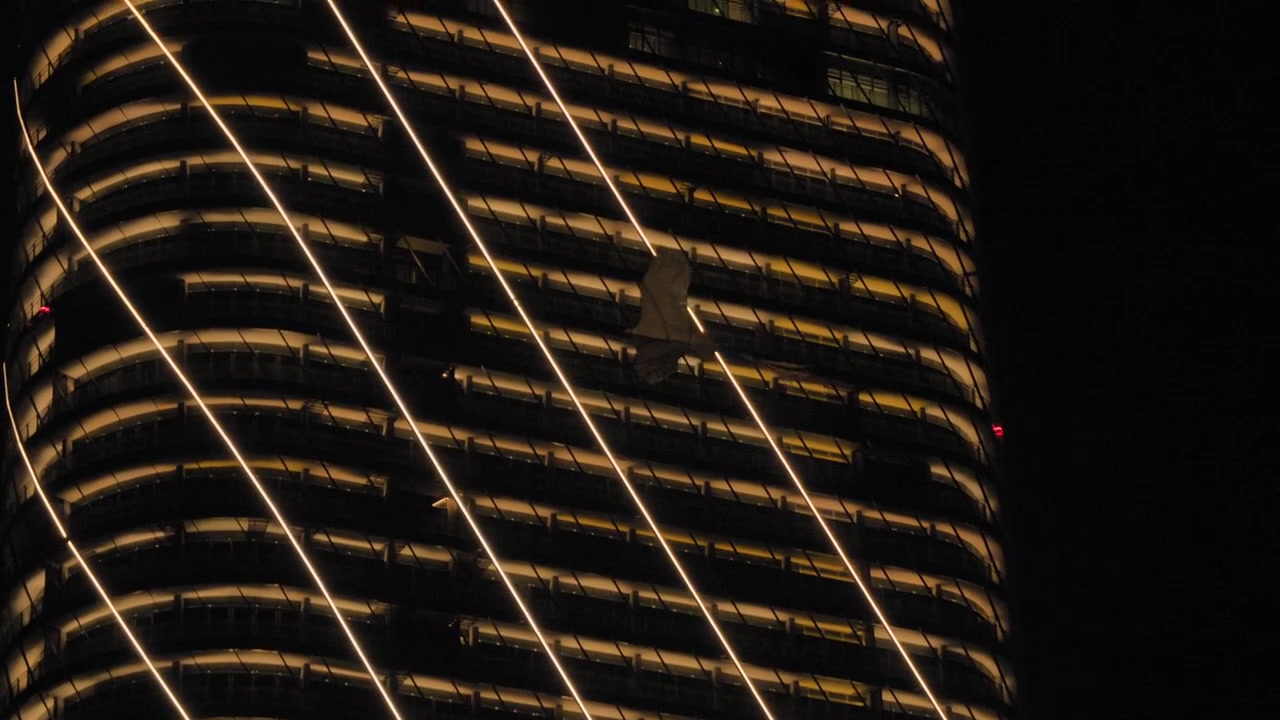 Veduta notturna della sagoma di un nibbio che sorvola la facciata curva illuminata delle Torri Gemelle ITC Ratnadipa a Colombo, Sri Lanka, con linee architettoniche dorate