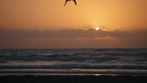 silhouette of majestic ocean bird flapping wings in slow motion during perfect golden hour sunrise or sunset peaking behind clouds on the horizon with waves crashing in the background