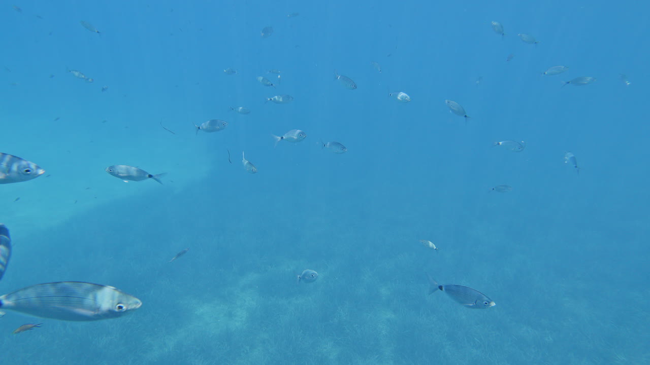 underwater view looking up to a yacht in lefkada, greece