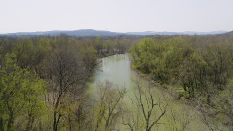 Vista-Aérea-Del-Río-Blanco-De-La-Bifurcación-Media-Entre-Los-árboles-En-Arkansas,-Estados-Unidos