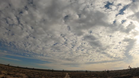 Adventurous-drive-along-an-off-road-trail-through-the-Mojave-Desert-and-between-Joshua-trees---driver-point-of-view