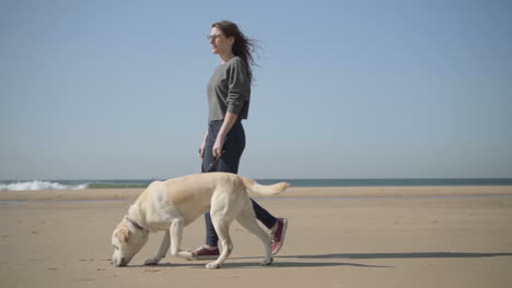 relaxed woman in eyeglasses strolling with dog on seashore