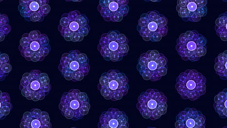 patrón de flores azul y púrpura brillante sobre un fondo negro