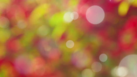 fondo de resorte abstracto con bokeh