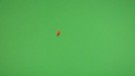 Corn-kernel-falling-on-a-chroma-background