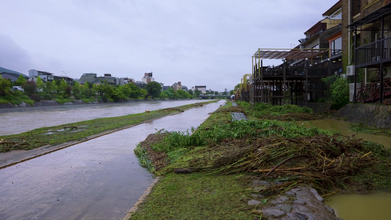 Detriti di tempesta e alluvione sulla sponda del fiume Kamo dopo i danni del tifone, Giappone.