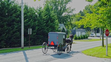 Eine-Zeitlupenansicht-Von-Zwei-Amish-Buggys,-Die-An-Einem-Sonnigen-Tag-Eine-Landstraße-Entlang-Traben