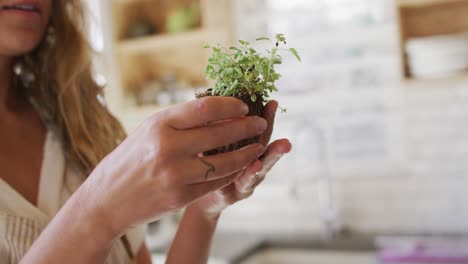 smiling caucasian woman tending to potted plants standing in sunny cottage kitchen