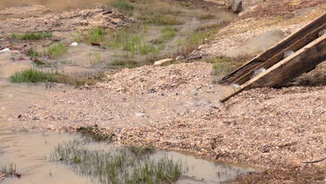 el agua fluye a través de un sitio minero histórico