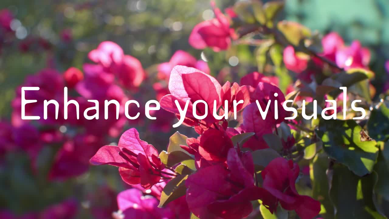 People Hiking and Exploring Scenic Outdoor Landscapes with Aerial Views