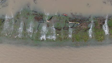 floodwaters cover a riverbank