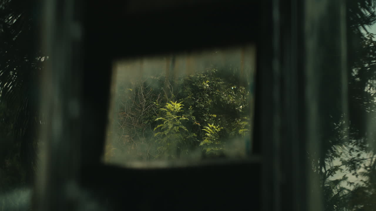 A Glimpse of Withering Plants From the Wreckage of a Wooden Wagon in an Abandoned Park - Defocused Shot