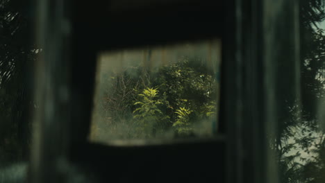 a glimpse of withering plants from the wreckage of a wooden wagon in an abandoned park - defocused shot