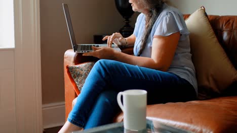 side view of old caucasian senior woman using laptop in a comfortable home 4k