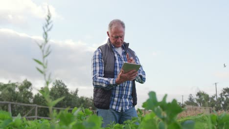 mature man working on farm