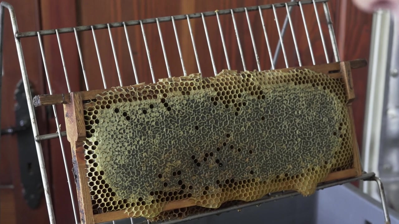 L'apicoltore rimuove il miele dal favo usando un attrezzo per alveari, dimostrando tecniche manuali di estrazione del miele.