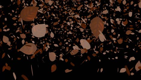 dead leaves, autumn leaves, autumn leaves, falling particles, motion graphics