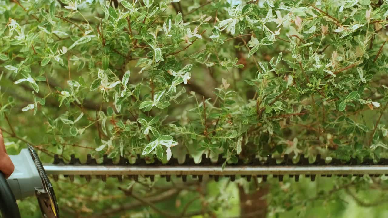 정원 가공자: 을 위한 전기 트리머와 함께 그린 파크에서 나무를 잘라내는 정원 노동자: 정원에서 나무를 형성하는 노동자: 뒷마당에서 오렌지 전기 트리마와 함께 나무 식물을 잘라내는 노동자.