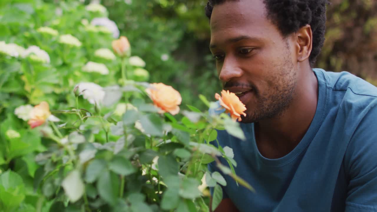 retrato de un hombre biracial feliz en la jardinería, cuidando de las rosas