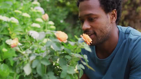 portrait of happy biracial man gardening, taking care of roses