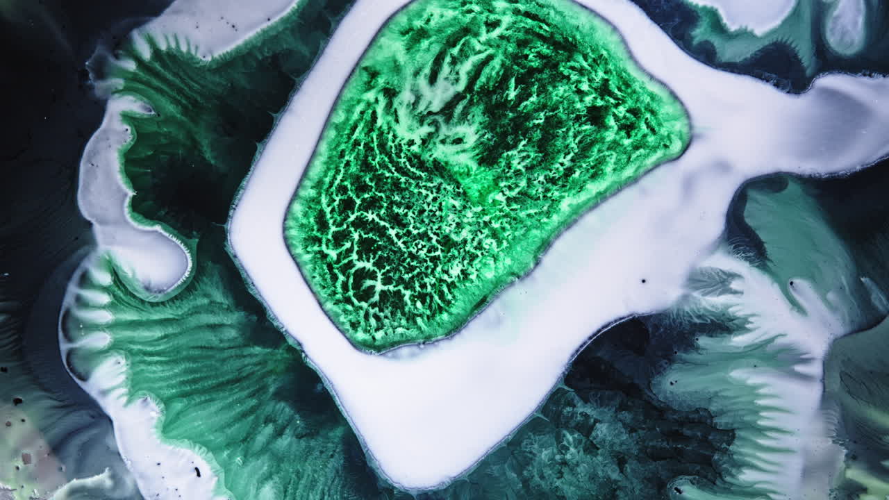 Des motifs verts envoûtants créent un art abstrait, évoquant le mystère et l’émerveillement.