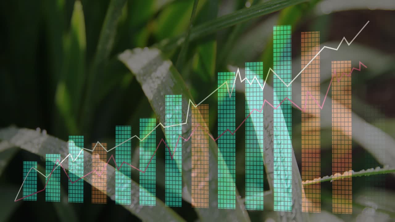 Dewy plant holding droplets while grid bar chart fading in, bars rising, lines showing upward trend