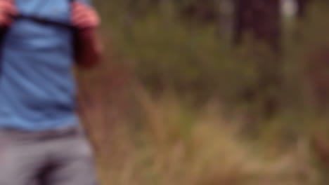 couple hiking through a forest