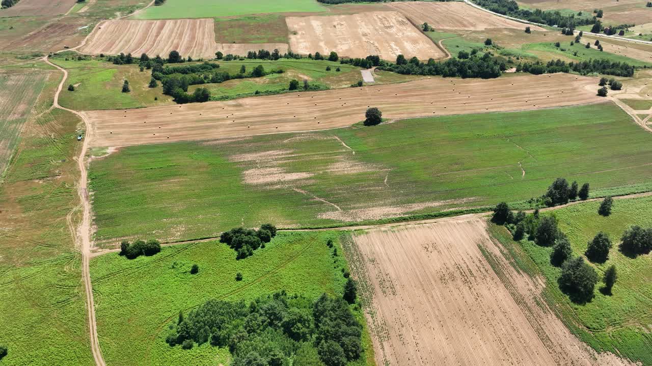 Agricultural landscape, drone monitoring crops with multispectral sensors, aerial view