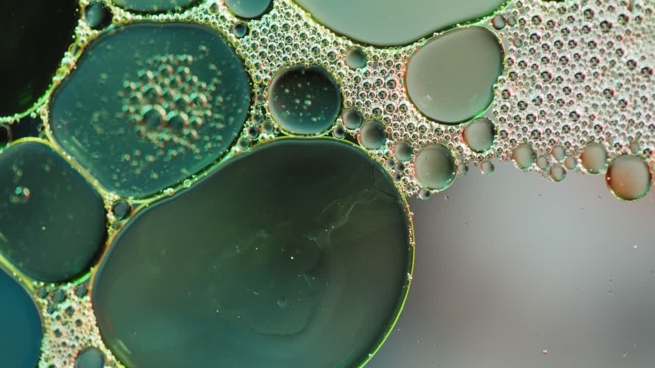 animación de burbujas que se mueven sobre un fondo verde con espacio de copia