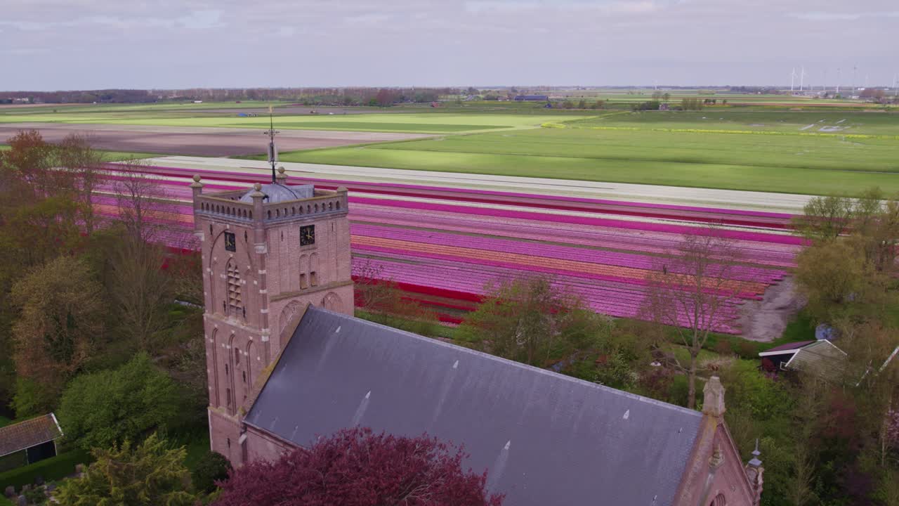 Vue aérienne d'Aartswoud avec des tulipes, des fleurs, une église, montrant un paysage historique doré aux Pays-Bas