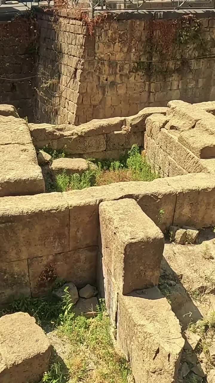 ruinas de piedra con vegetación en un entorno urbano