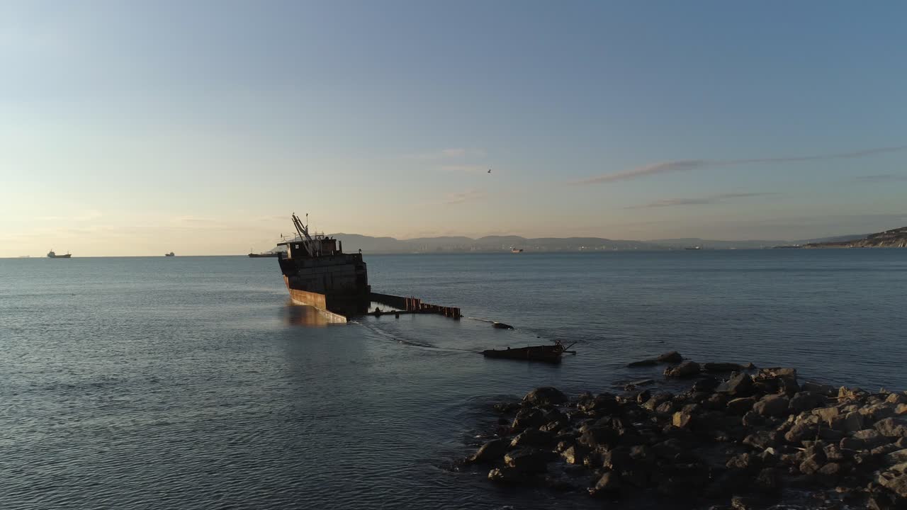 해변 에 있는 녹은 배 손물