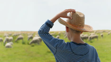 achteraanzicht van blanke tienerjongen met hoed die buiten in het veld loopt en voor de kudde schapen zorgt